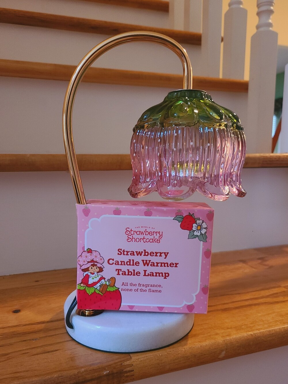 Strawberry Shortcake Lamp 🍓